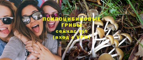твердый Володарск