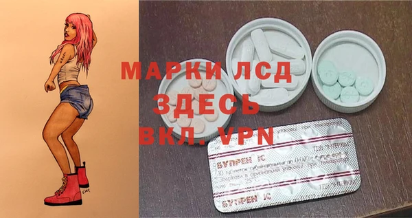 твердый Володарск